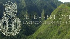 Tehe – Peritome