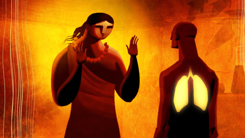 Video Image