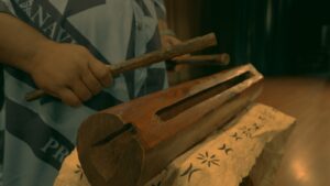 Nothing is Impossible: The Primanavia Story