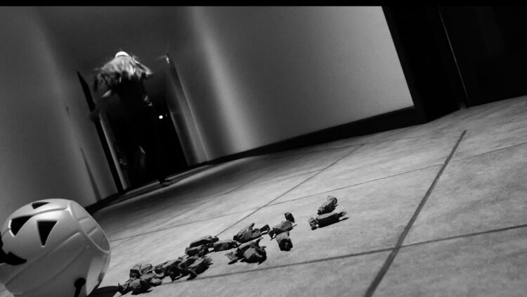 02_THE_PUMPKIN__image_01