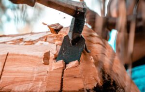 The Canoe is the Future